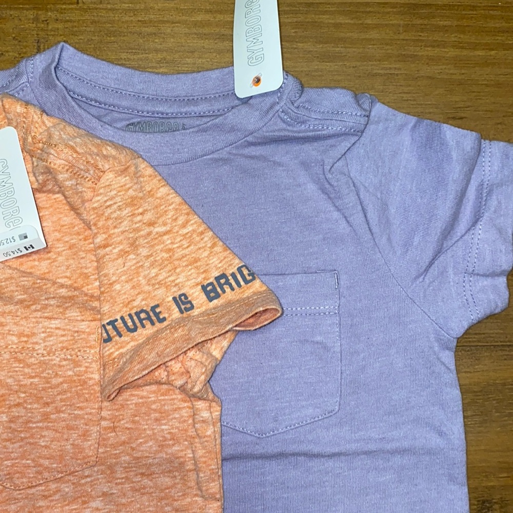 GYMBOREE (2 T Shirts) - Picture 4 of 6